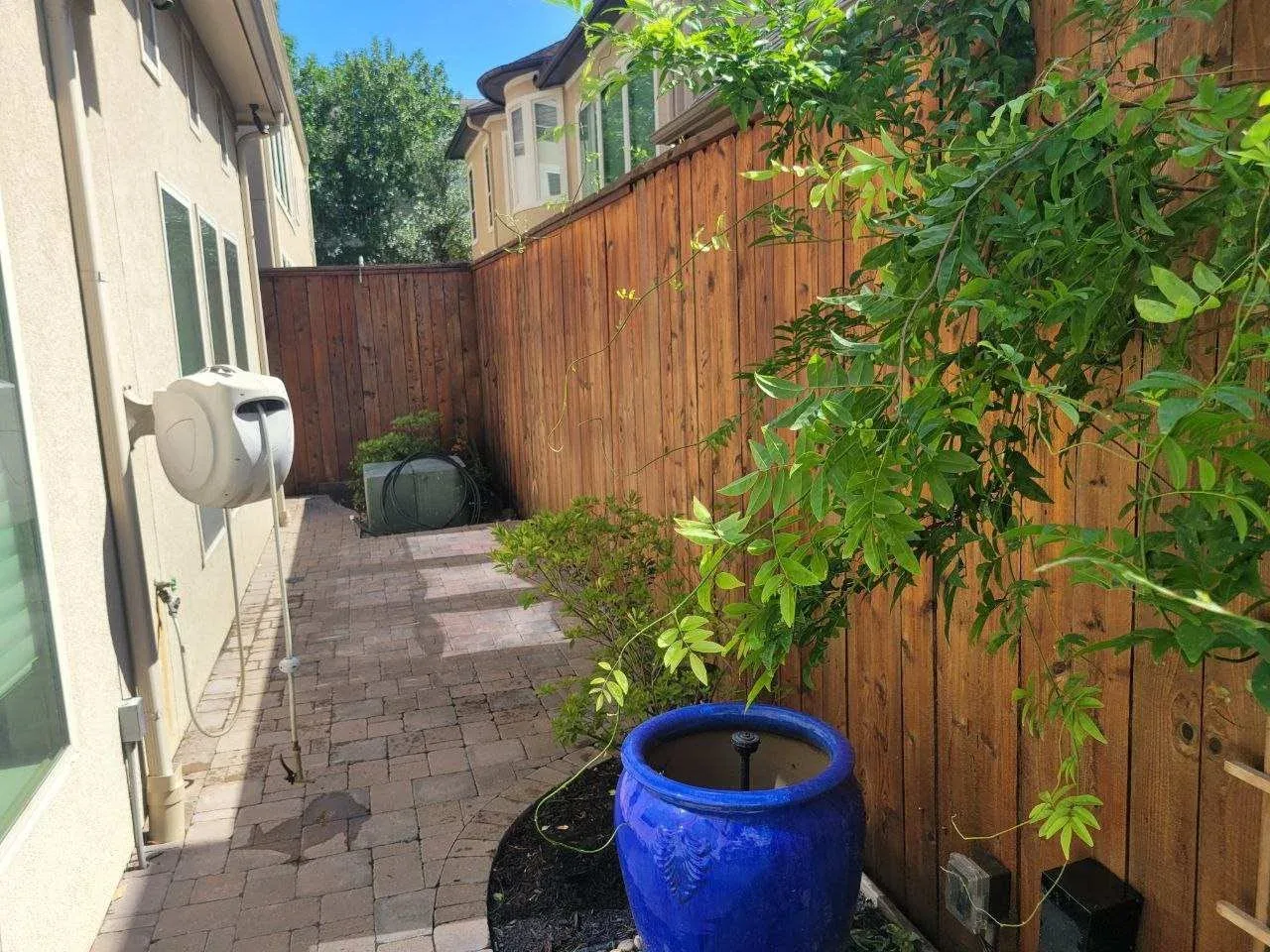Backyard cedar fence after professional staining in Sugar Land, TX