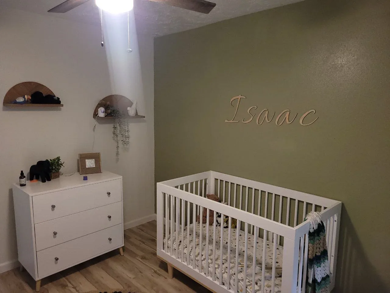 earthy green accent wall in transitional style Missouri City home