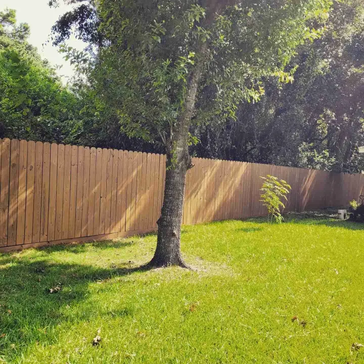 fence-staining-sugar-land-the-proud-paintbrush-3.jpg