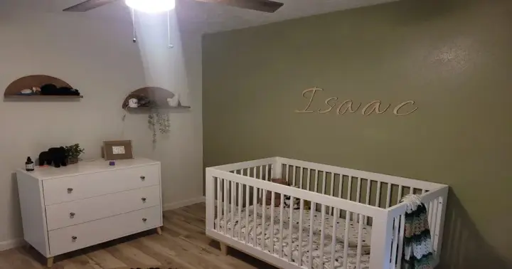 nursery-painting-green-accent-wall-sugar-land.jpg