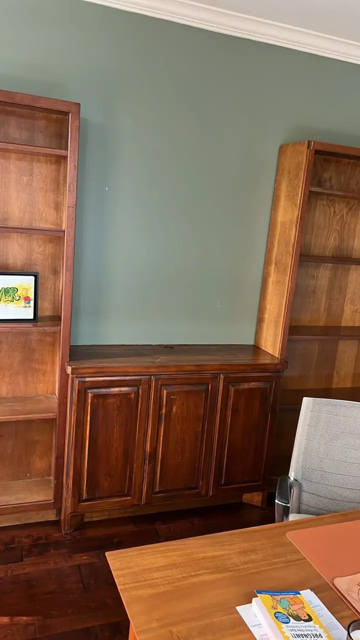 stained-built-in-cabinet-lacquer-sugar-land-the-proud-paintbrush.jpg