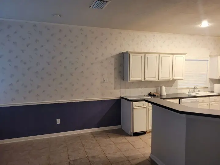 Sugar land modern kitchen walls painting